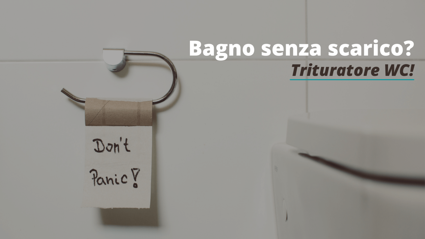 Toilet shredder: how it works and what it is for