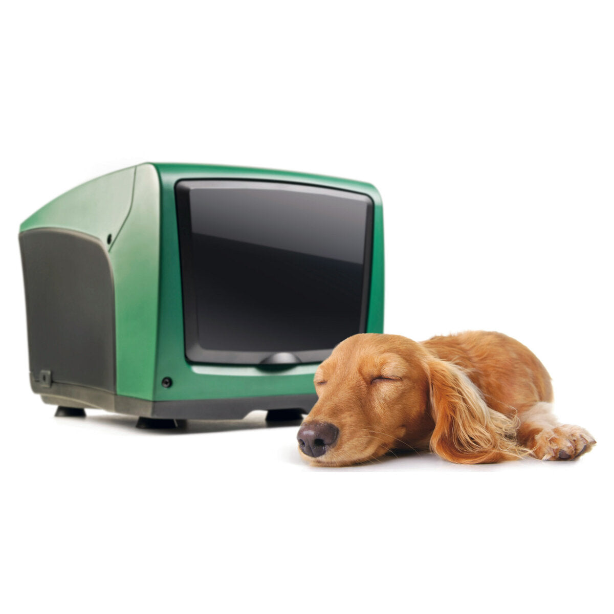 DAB EsyBox mini3 1 PS Wi-Fi Inverter-Drucksystem